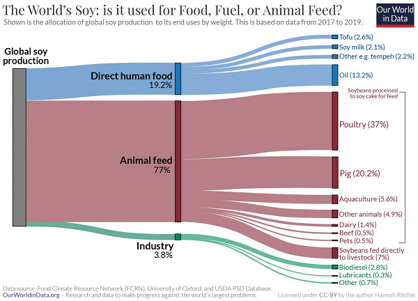 Schaubild der weltweiten Verwendung von Soja - 77% Tierfutter, 4% Industrie, 7% Tofu, Sojamilch und Tempeh
